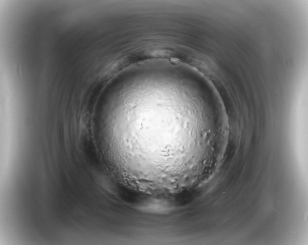 X0000085780175200703161214