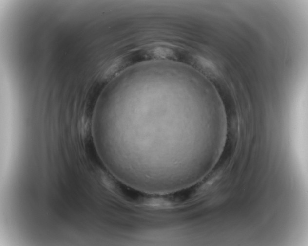 X0000085780177200703161214