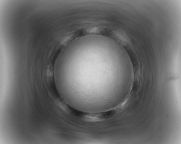 X0000085780179200703161214