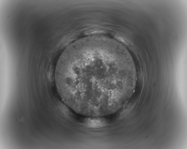 X0000085780181200703161214