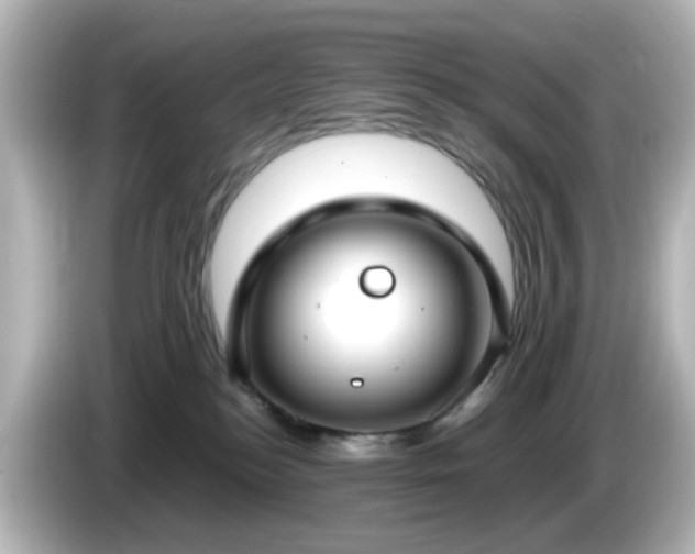 X0000085780184200703161214