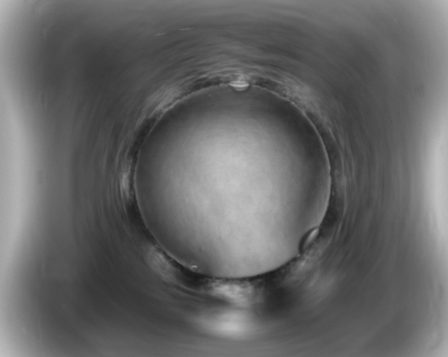 X0000085780185200703161214