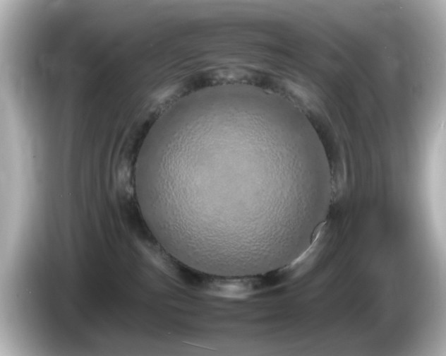 X0000085780187200703161214