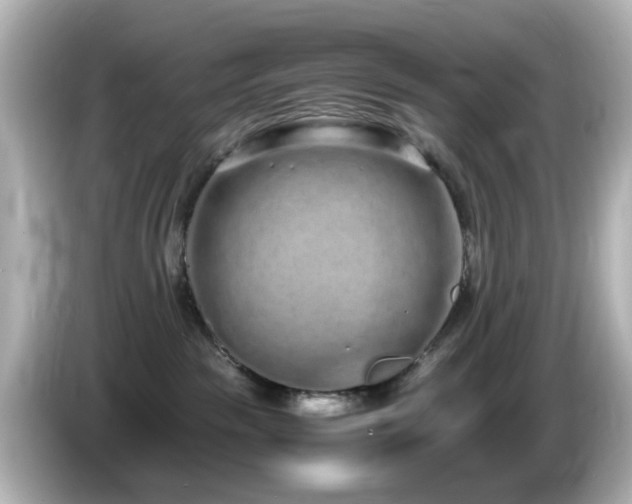 X0000085780189200703161214