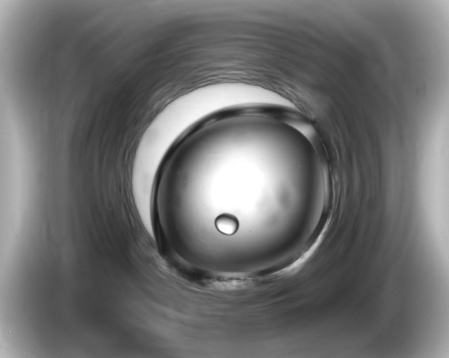 X0000085780190200703161214