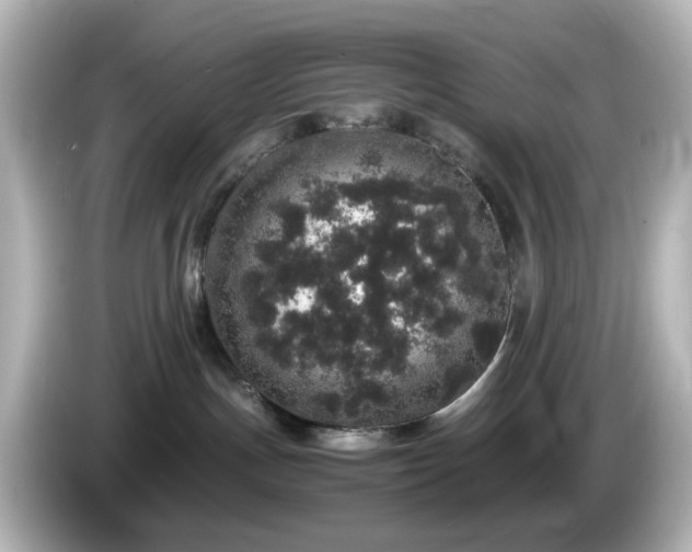 X0000085780191200703161214