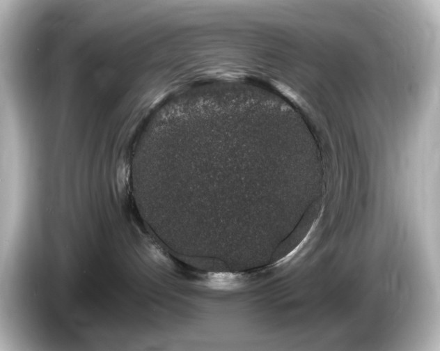 X0000085780192200703161214