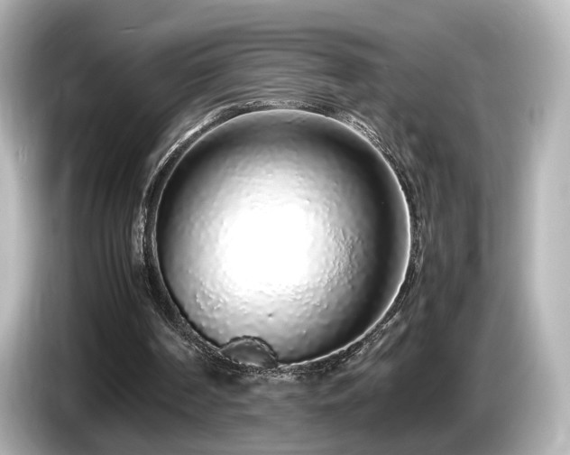 X0000085780194200703161214