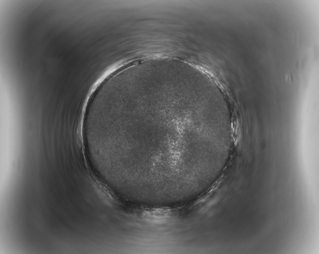 X0000085780196200703161214