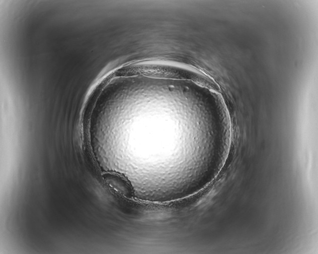 X0000085780198200703161214