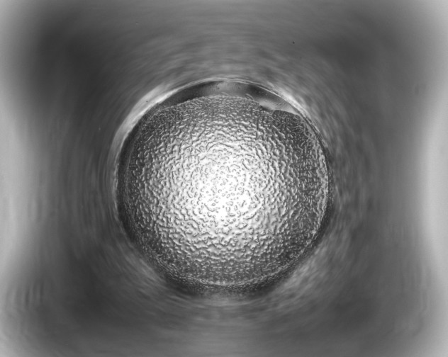 X0000085780199200703161214