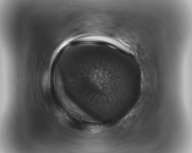 X0000085780200200703161214