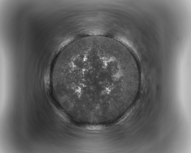 X0000085780202200703161214