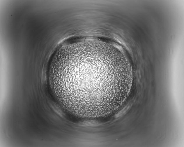 X0000085780203200703161214