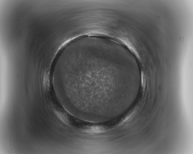 X0000085780204200703161214