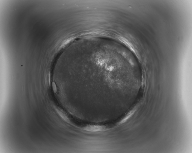 X0000085780205200703161214