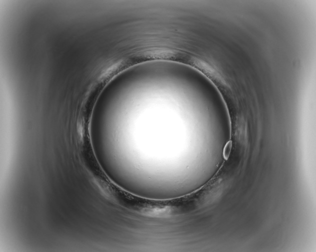 X0000085780206200703161214