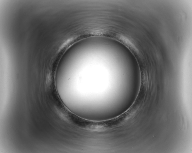 X0000085780208200703161214