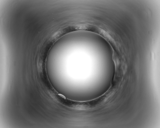 X0000085780209200703161214