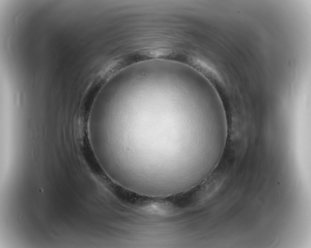 X0000085780210200703161214