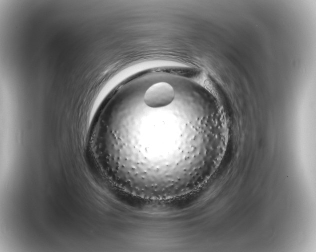 X0000085780211200703161214