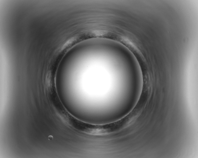 X0000085780212200703161214