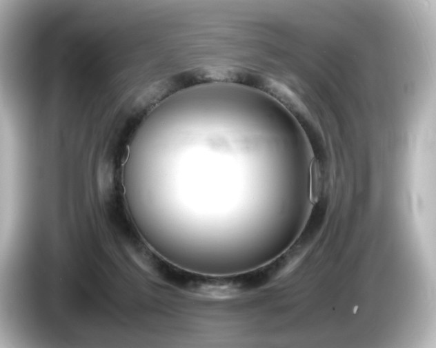 X0000085780213200703161213