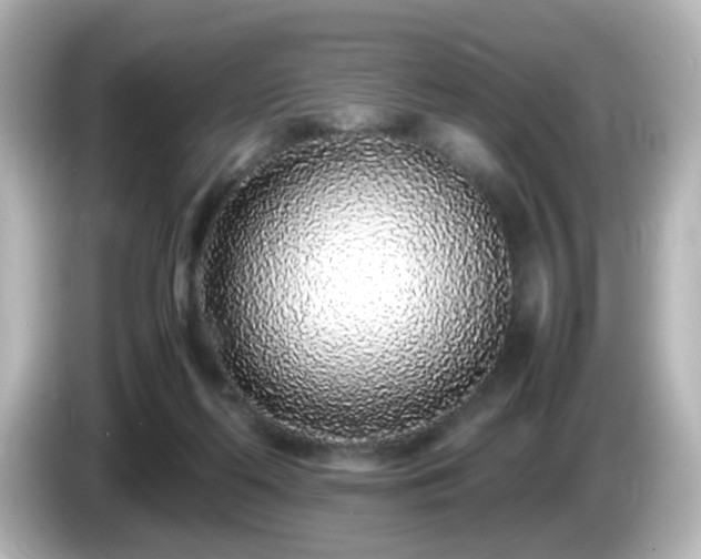 X0000085780214200703161213