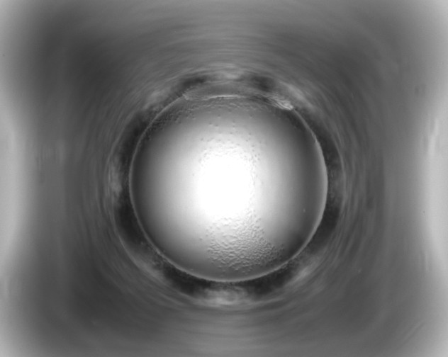 X0000085780215200703161213