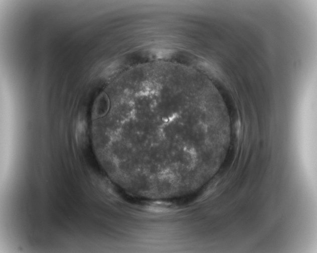 X0000085780222200703161213