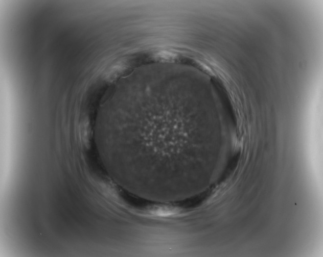 X0000085780223200703161213