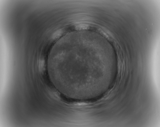 X0000085780224200703161213