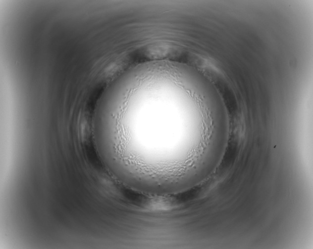 X0000085780226200703161213