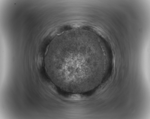 X0000085780227200703161213