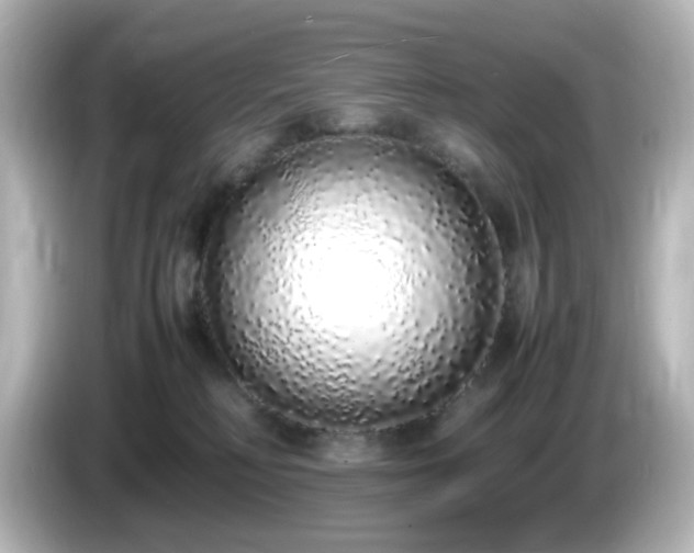 X0000085780230200703161213