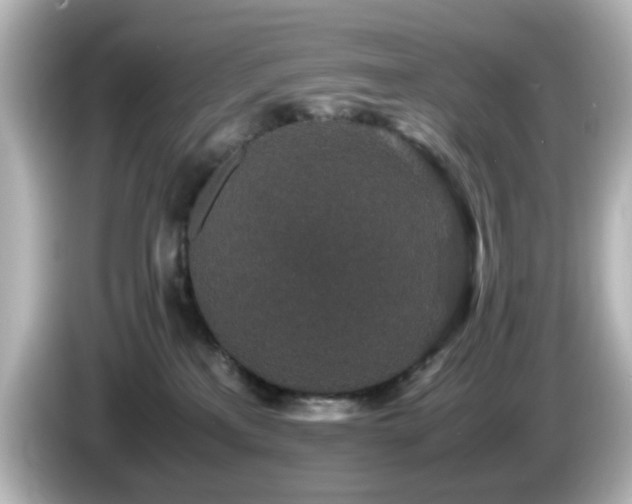 X0000085780233200703161213