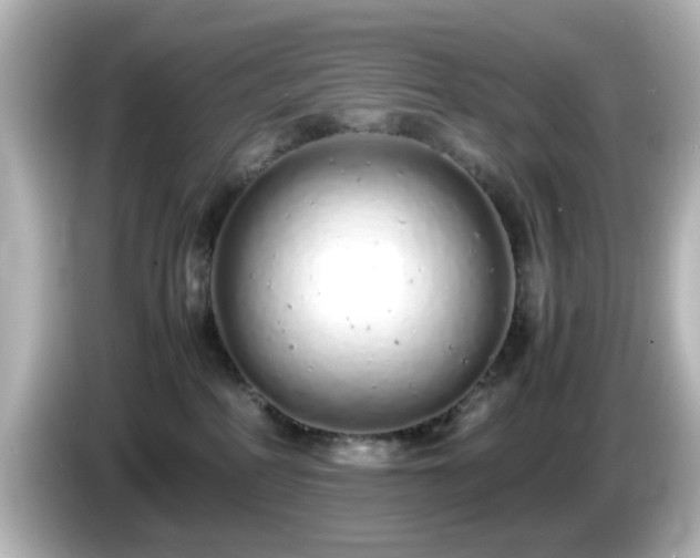 X0000085780234200703161213