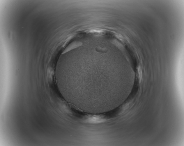 X0000085780235200703161213