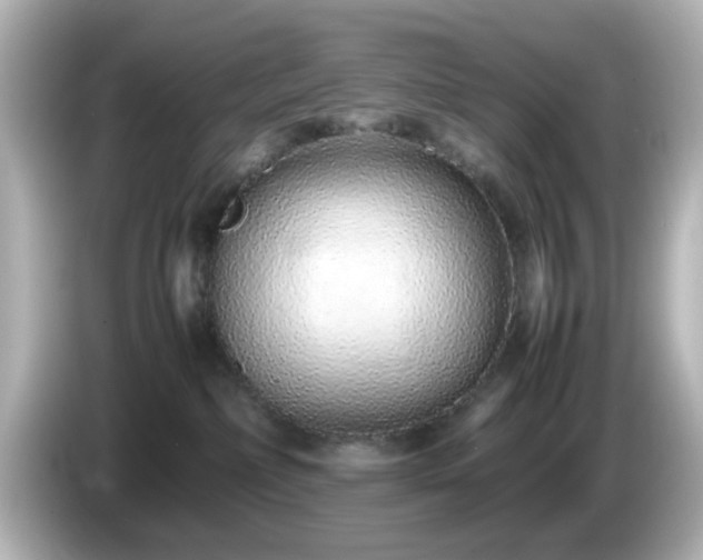 X0000085780236200703161213