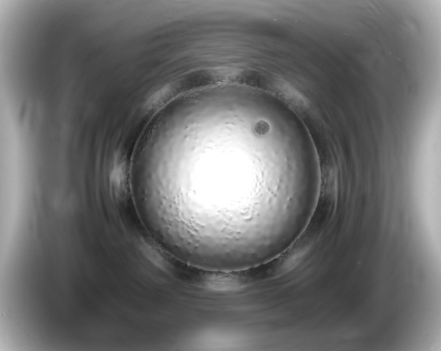 X0000085780238200703161213