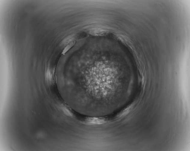 X0000085780239200703161213