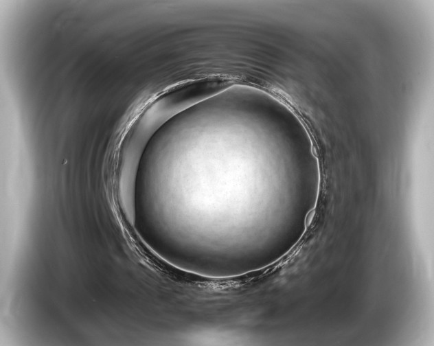 X0000085780241200703161212