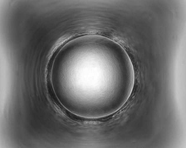 X0000085780242200703161212