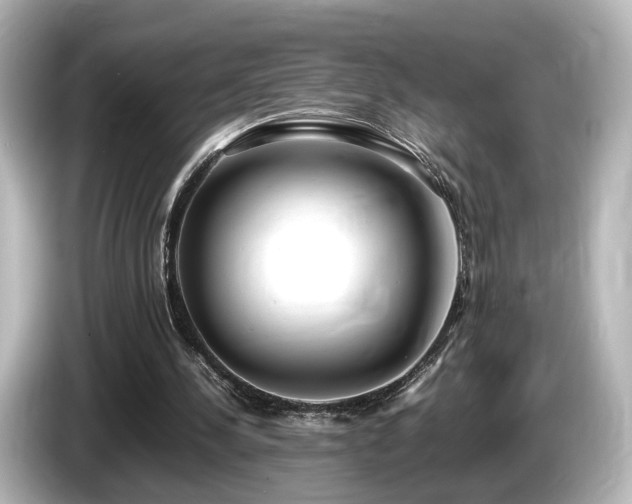 X0000085780244200703161212