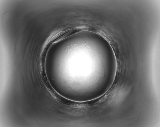 X0000085780245200703161212