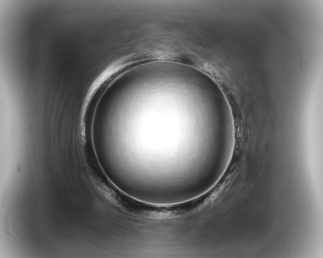 X0000085780246200703161213