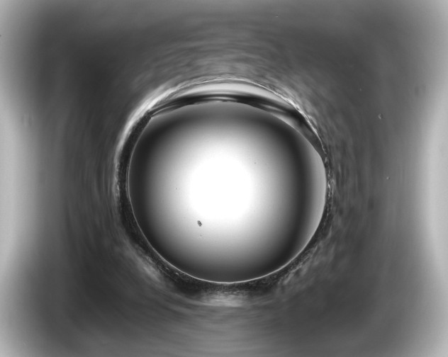 X0000085780248200703161213