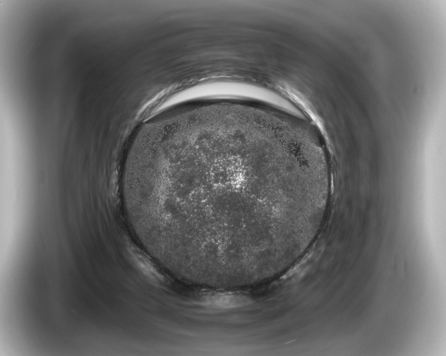 X0000085780249200703161213