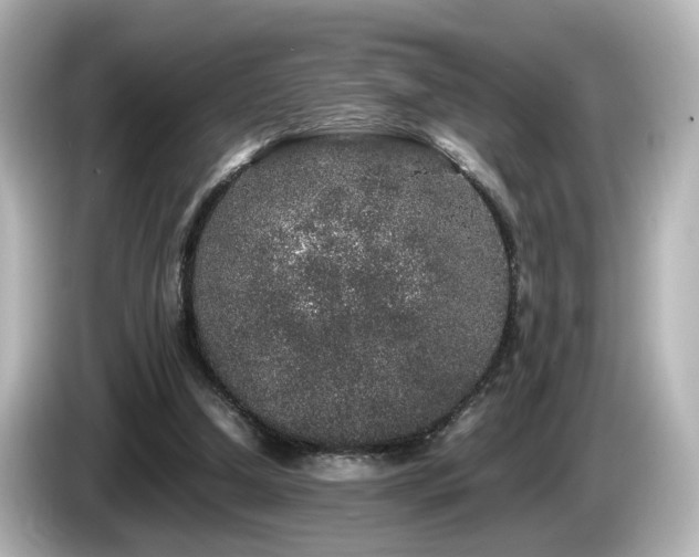 X0000085780250200703161213