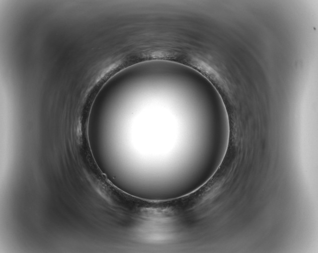 X0000085780251200703161213